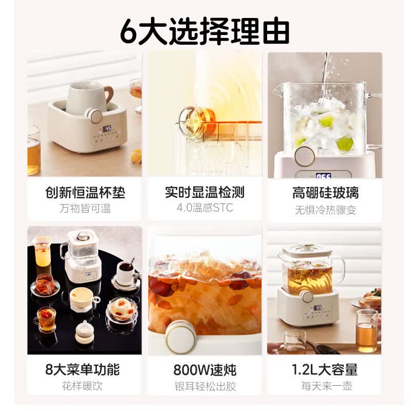 BASSENS巴森BS-D5养生壶图片