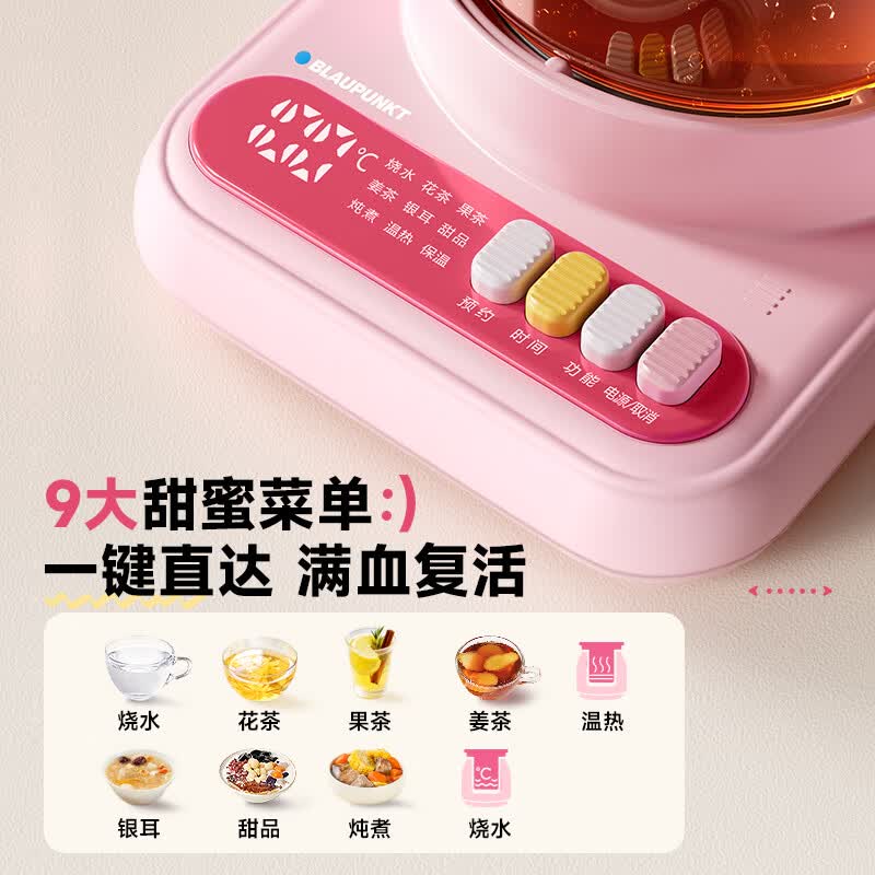 蓝宝BP-HP06养生壶图片