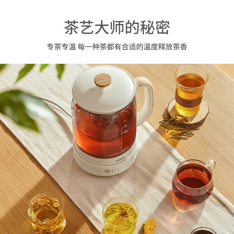 小质YSH02养生壶图片