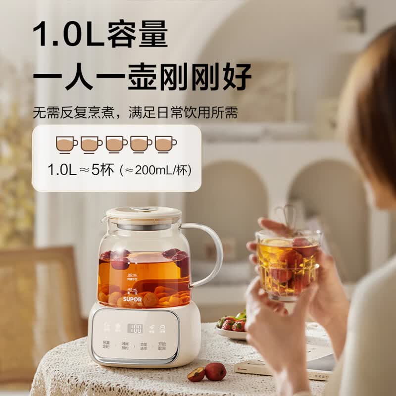 卓朗ZL-CH800养生壶图片