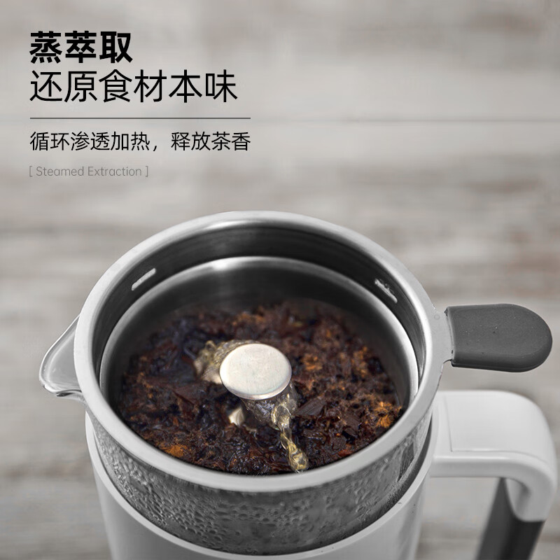 生活元素I13-H02养生壶图片