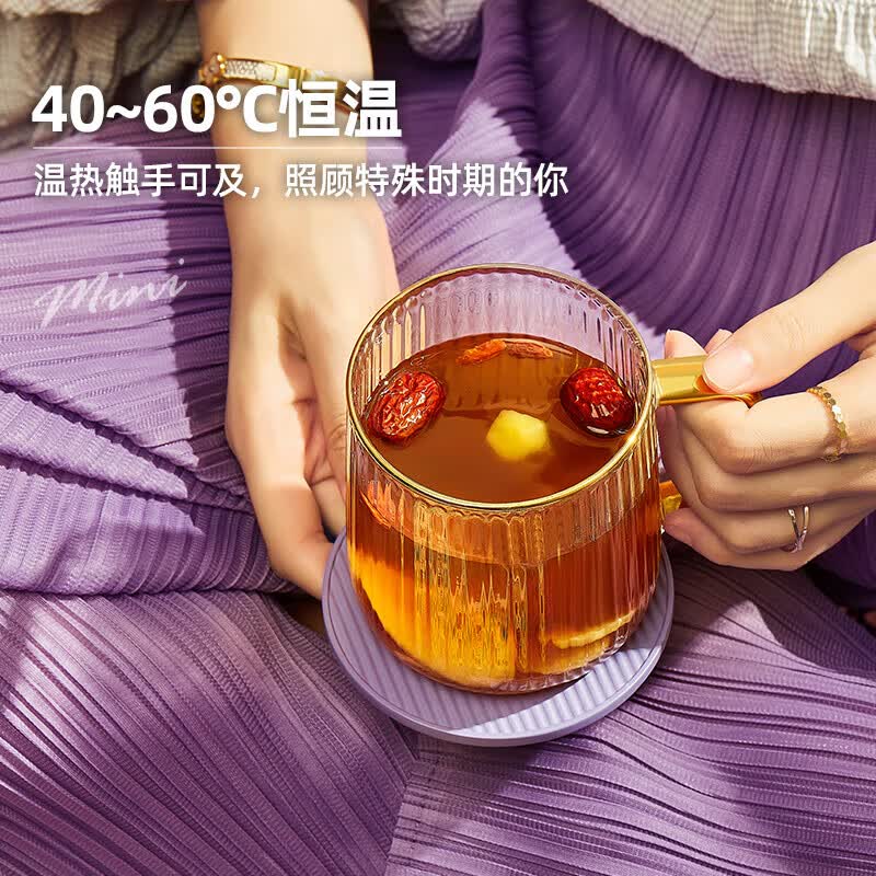 生活元素I156养生壶图片