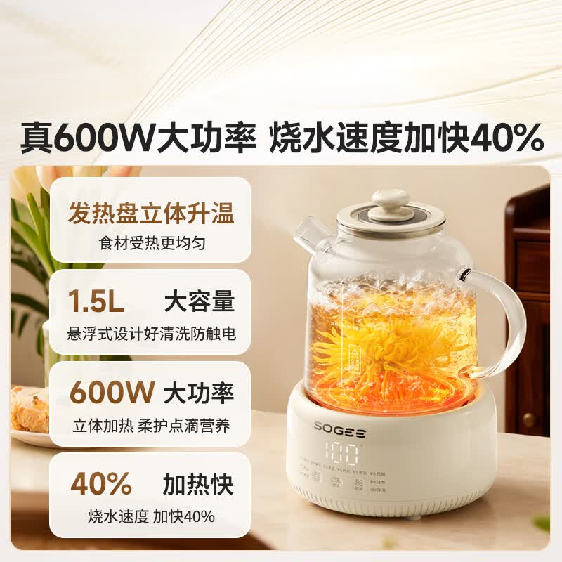 小质YSH12养生壶图片
