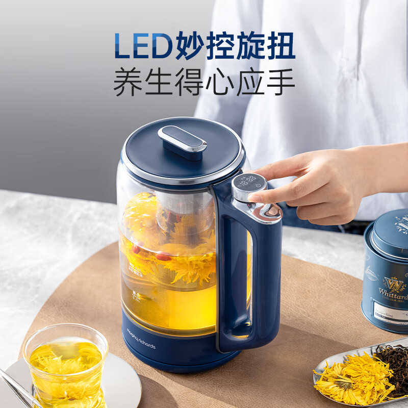 摩飞MR6089养生壶图片