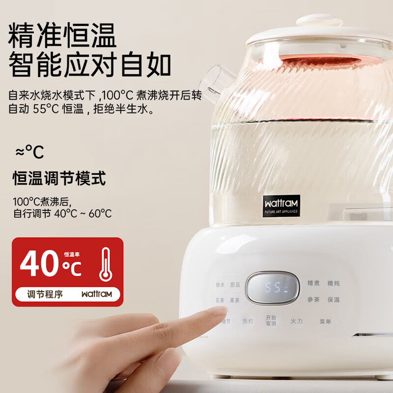 北欧沃朗H1(基础款)养生壶图片
