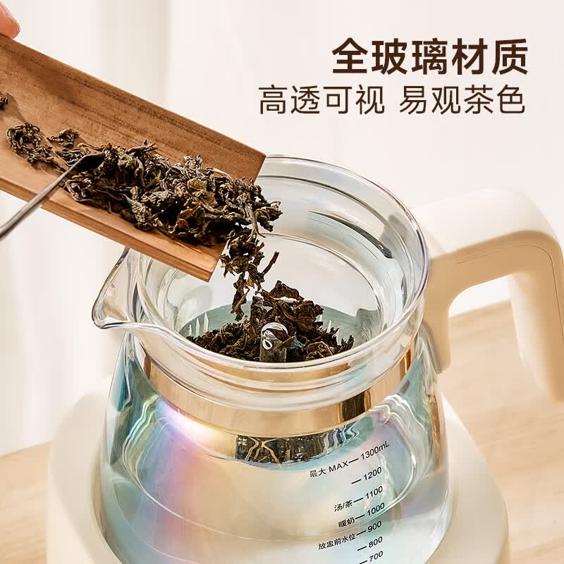 格丽思V-3846养生壶图片