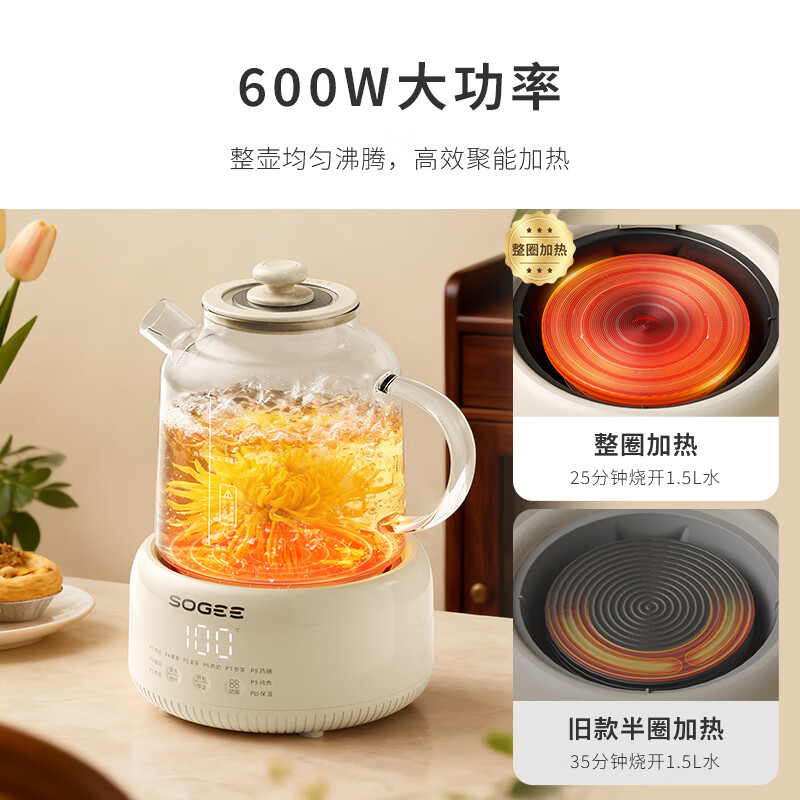 小质YSH12A养生壶图片