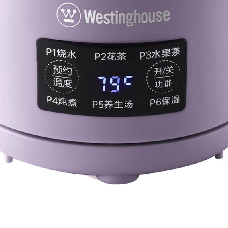 西屋WEK-C56养生壶图片