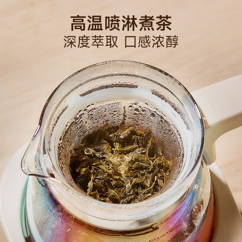 格丽思V-3846养生壶图片