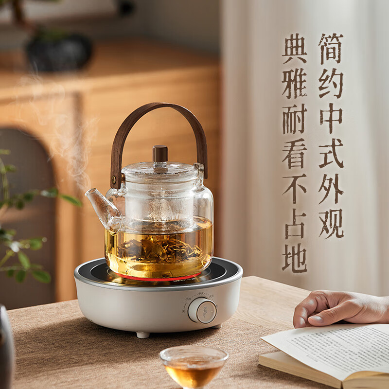 小熊DTL-J13Z5养生壶图片