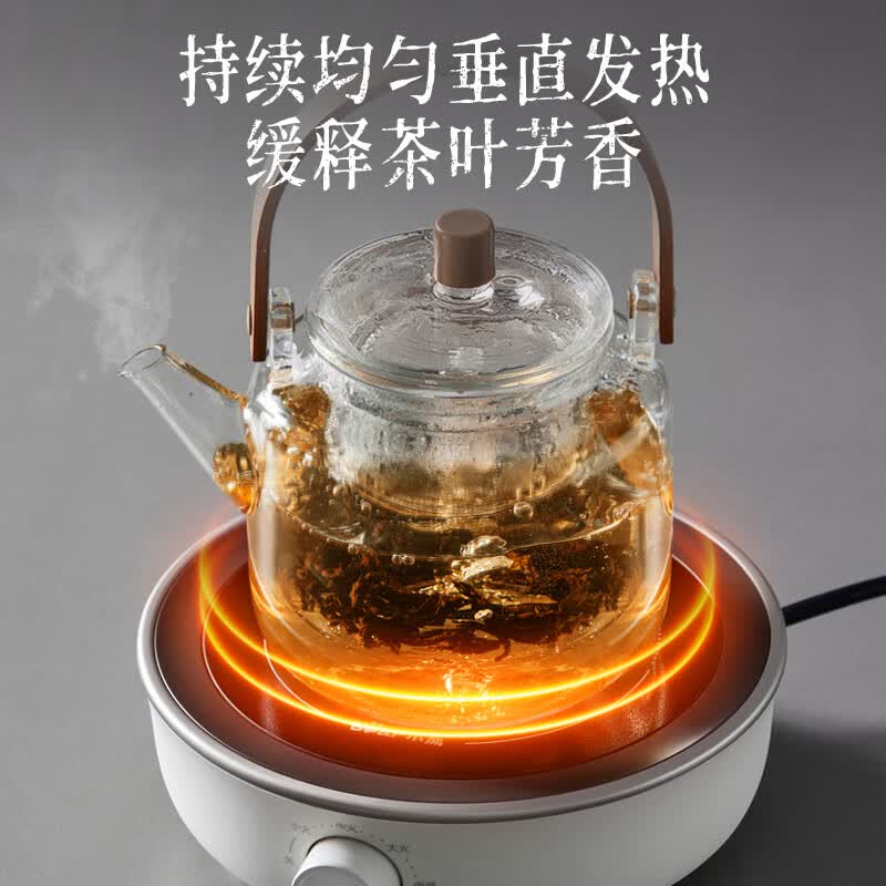 小熊DTL-J13Z5养生壶图片