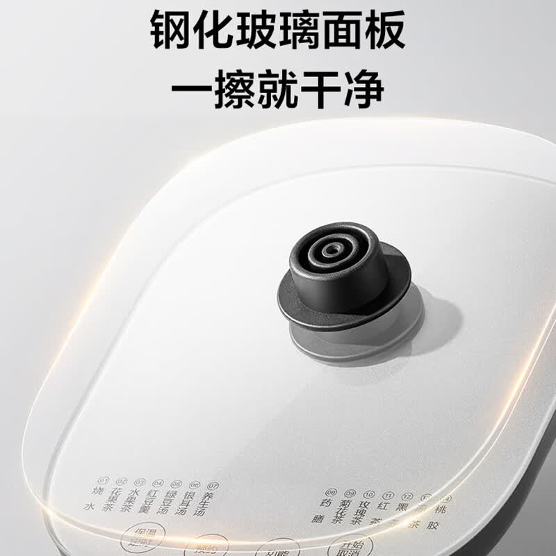 苏泊尔SW-15YQ66养生壶图片