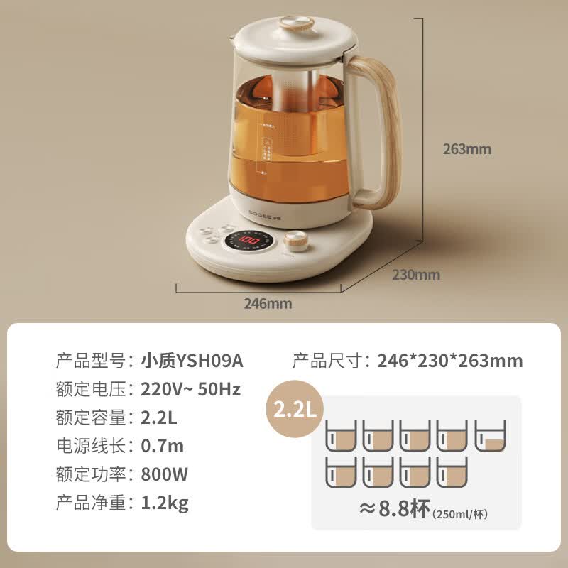 小质YSH09A养生壶图片