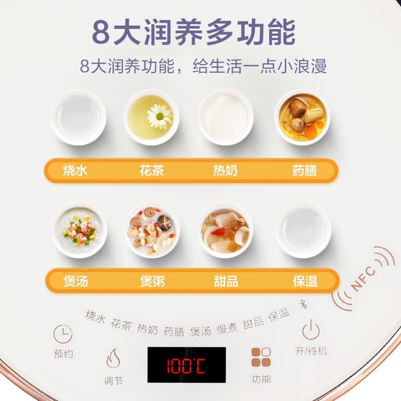 荣事达YSH2002养生壶图片