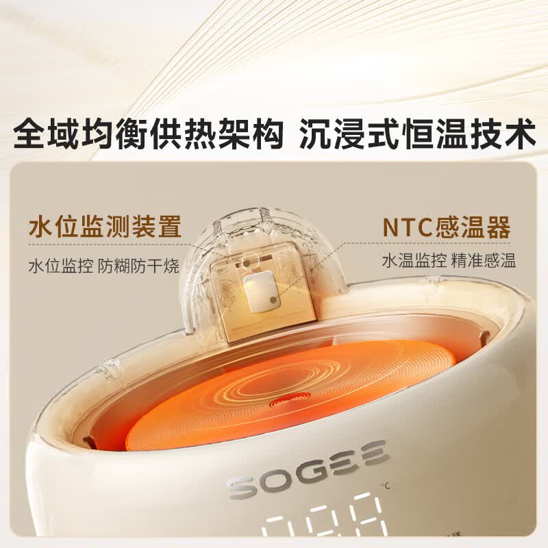 小质YSH12养生壶图片