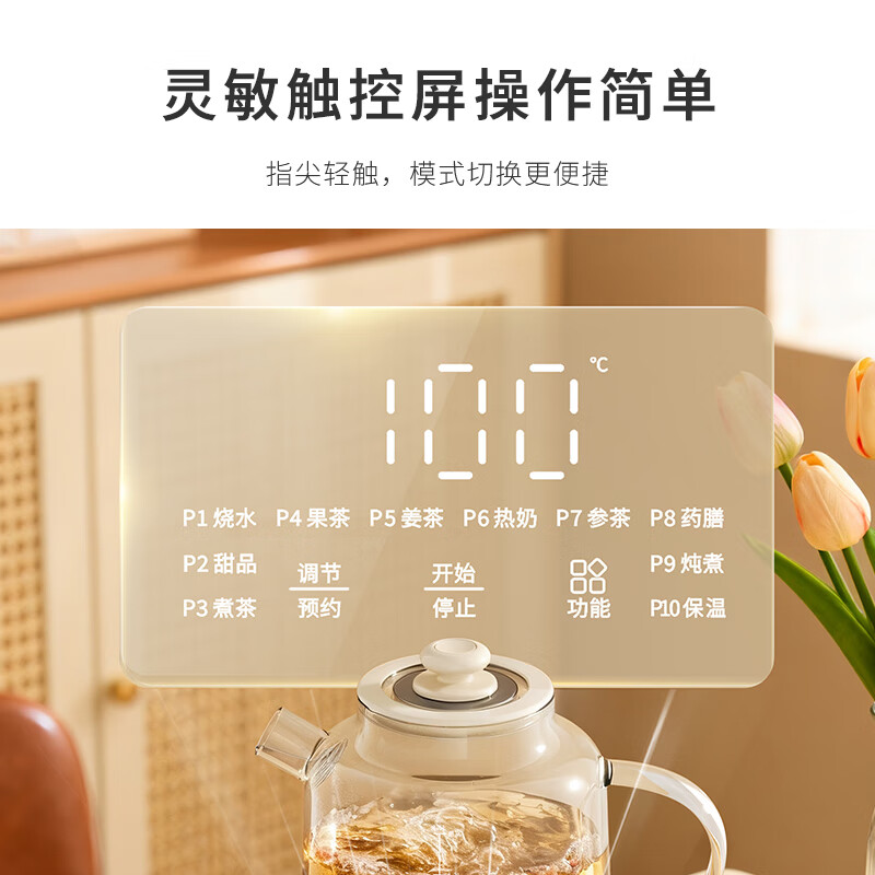 小质YSH12B养生壶图片