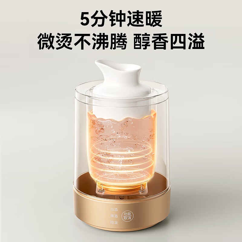 LOTOR徕多LDNJQ02养生壶图片