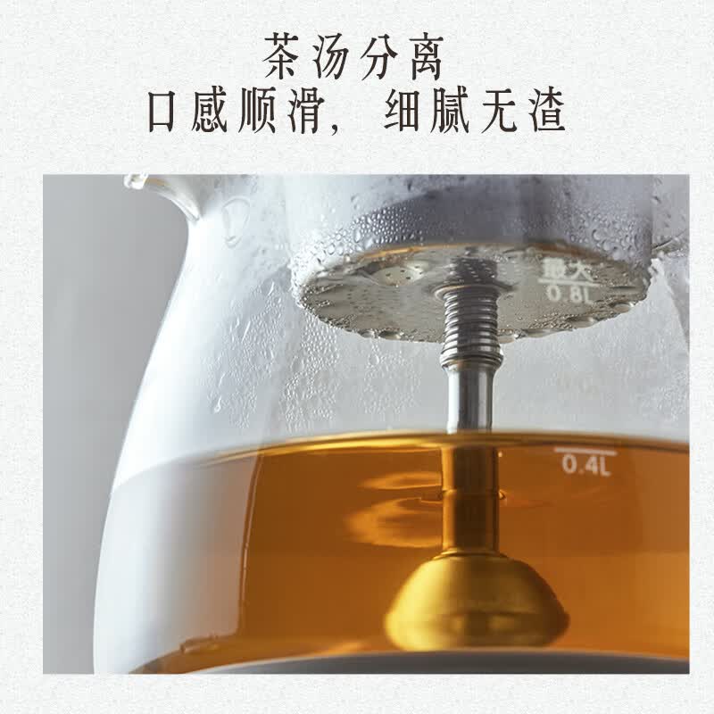 小熊ZCQ-A08E1养生壶图片