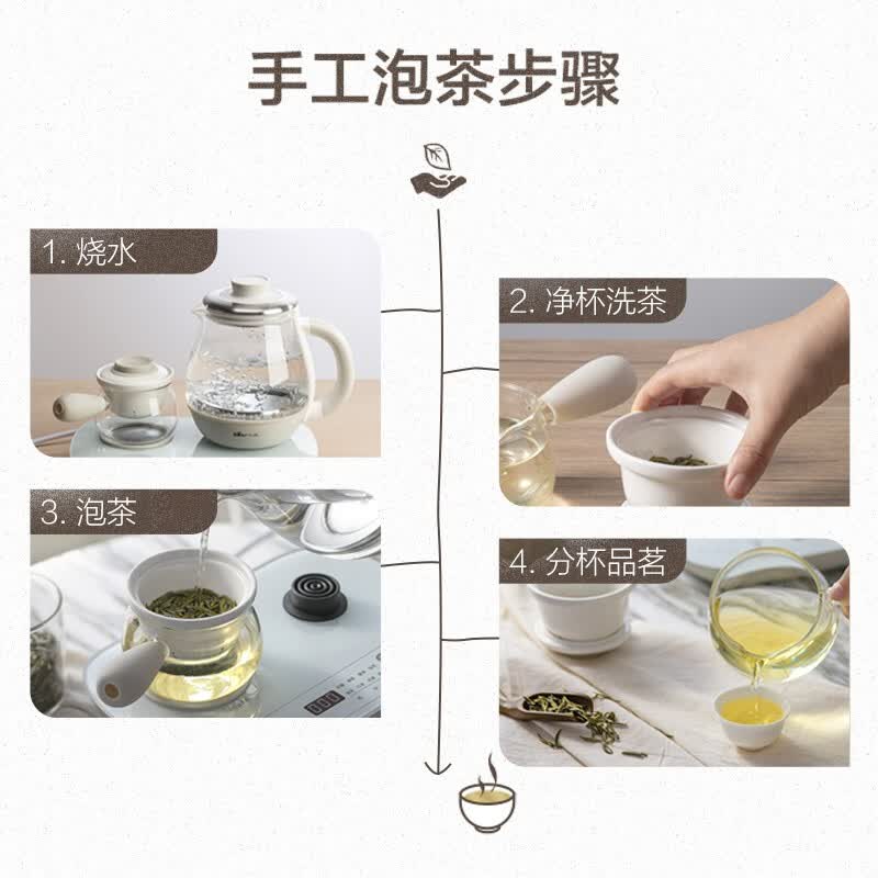 小熊ZCQ-A08E1养生壶图片