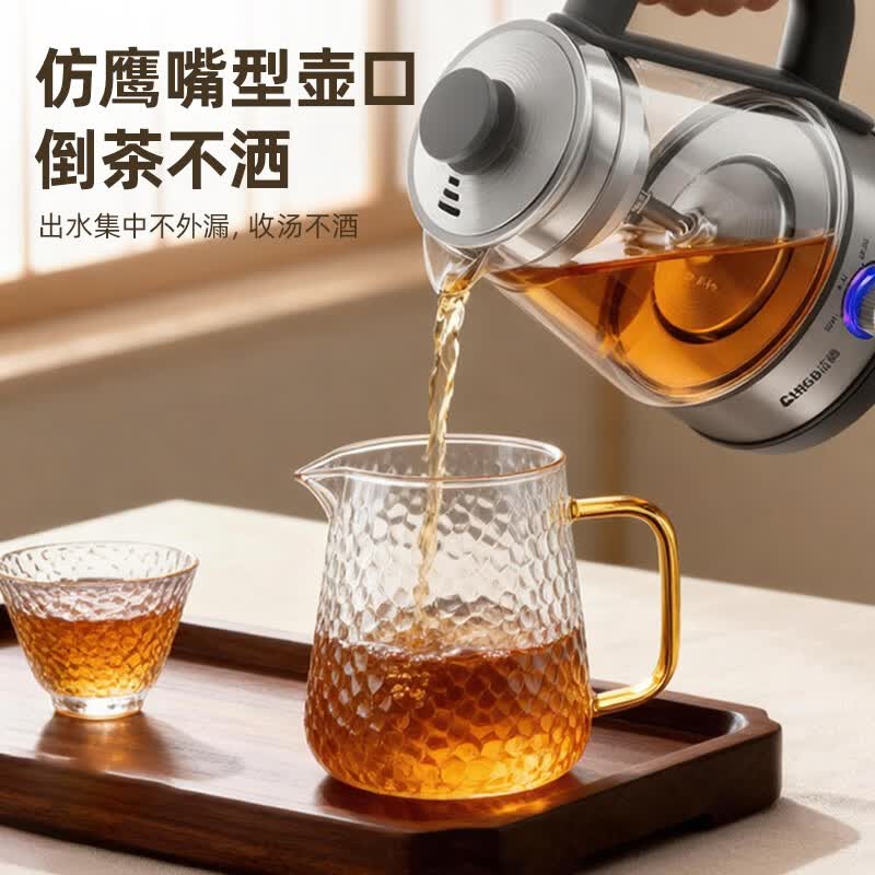 志高HG-998-6养生壶图片