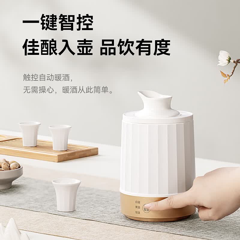 LOTOR徕多LDNJQ02养生壶图片