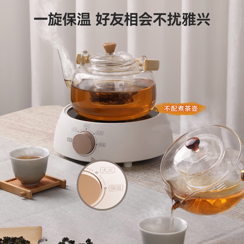 苏泊尔SW-DTL01养生壶图片