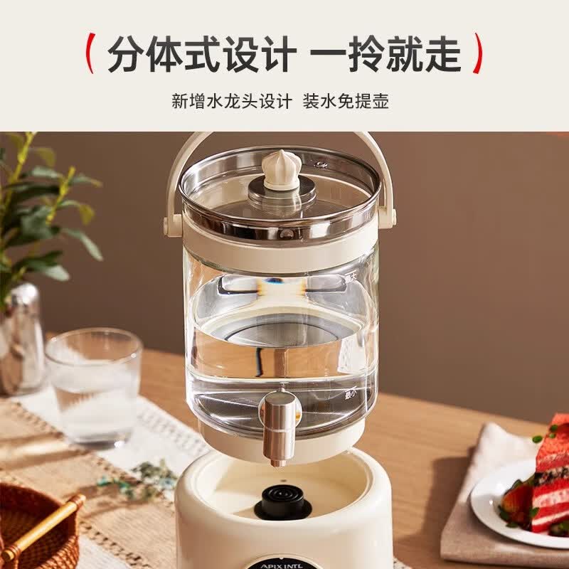 APIXINTLYS-005养生壶图片