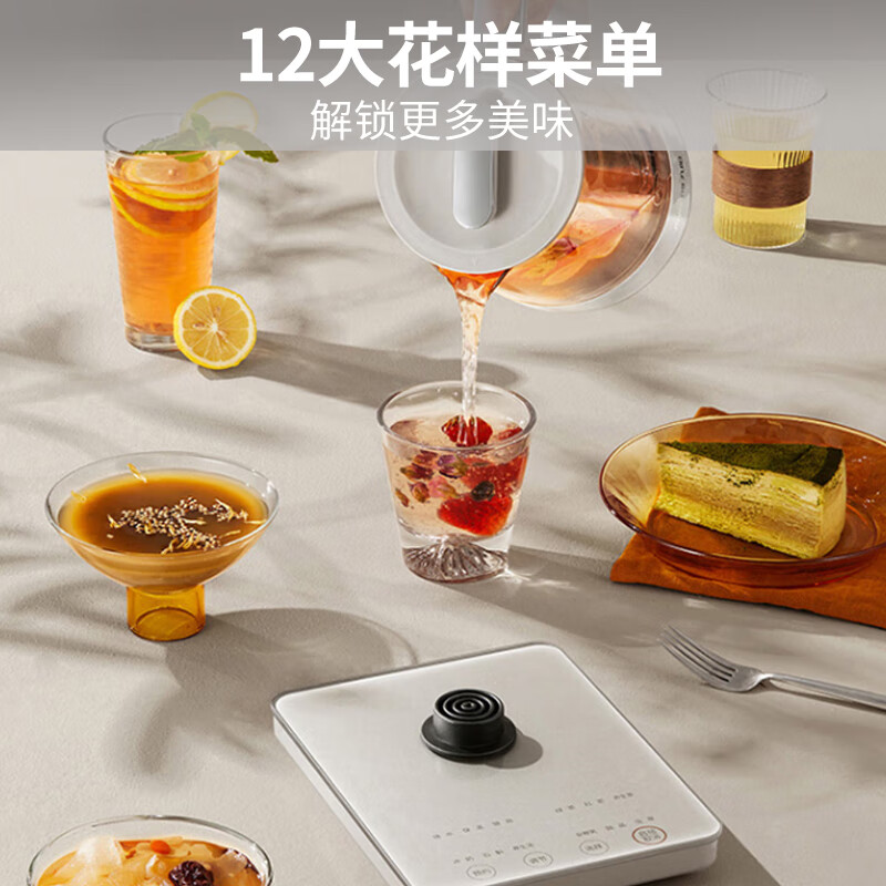 九阳WY501养生壶图片