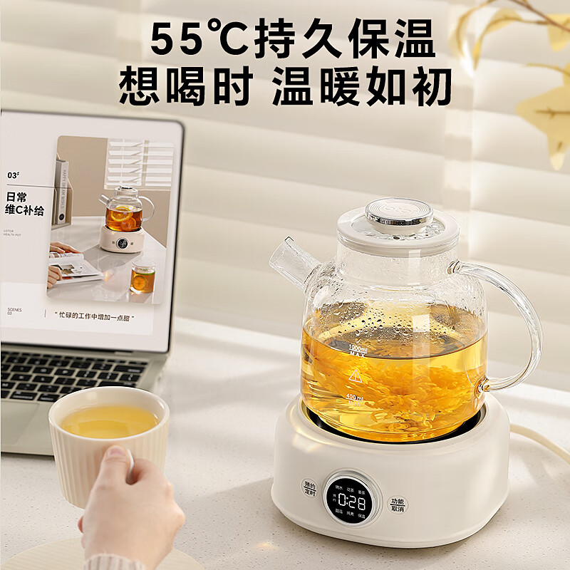 LOTOR徕多D11养生壶图片