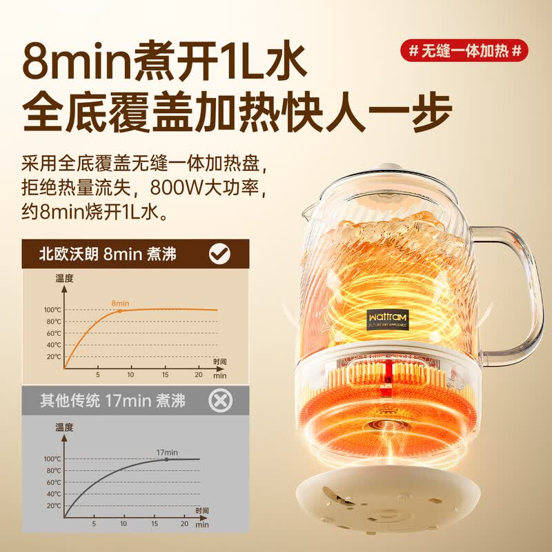 北欧沃朗G1A养生壶图片