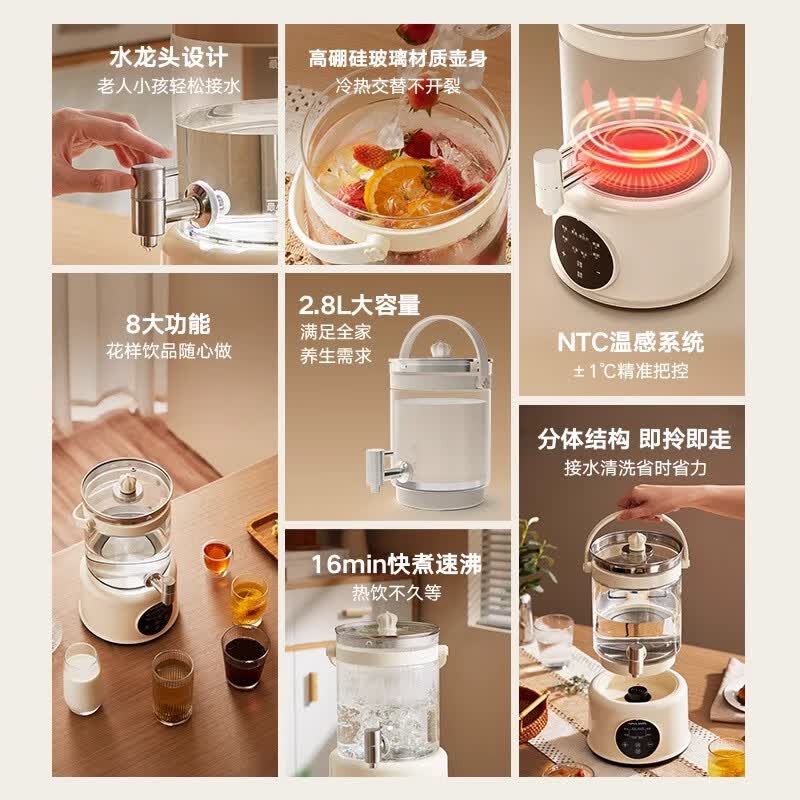 APIXINTLYS-005养生壶图片