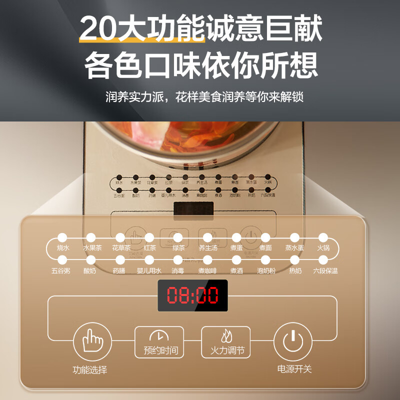 荣事达YSH20K养生壶图片