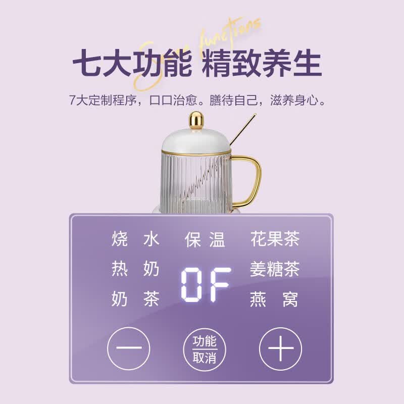 生活元素I161养生壶图片