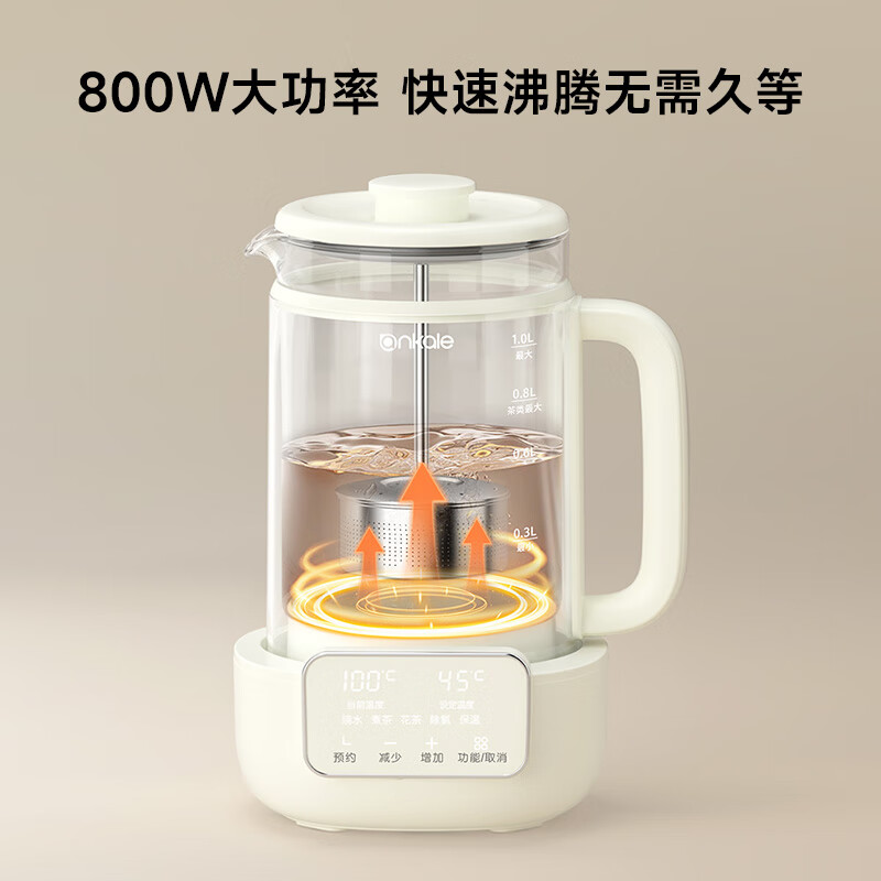 ankaleAJL-10Y02养生壶图片