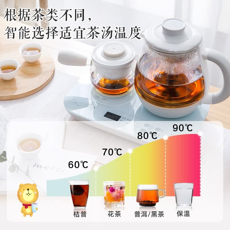 小熊ZCQ-A08E1养生壶图片