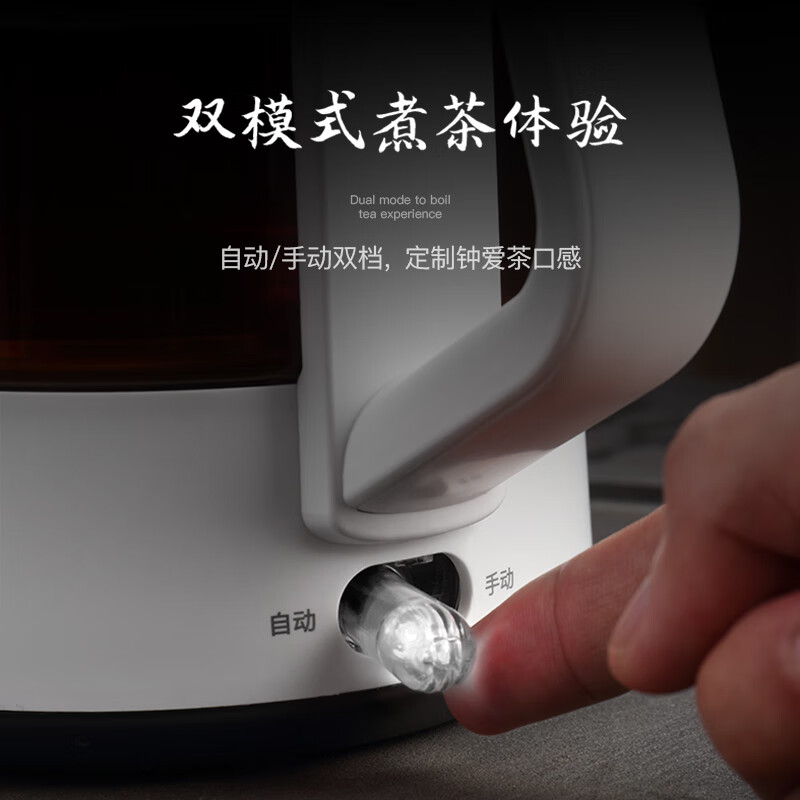 生活元素I72养生壶图片