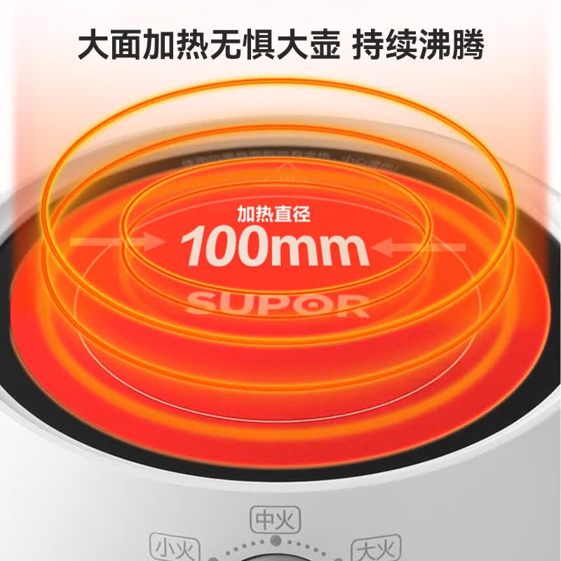 苏泊尔SW-DTL01养生壶图片