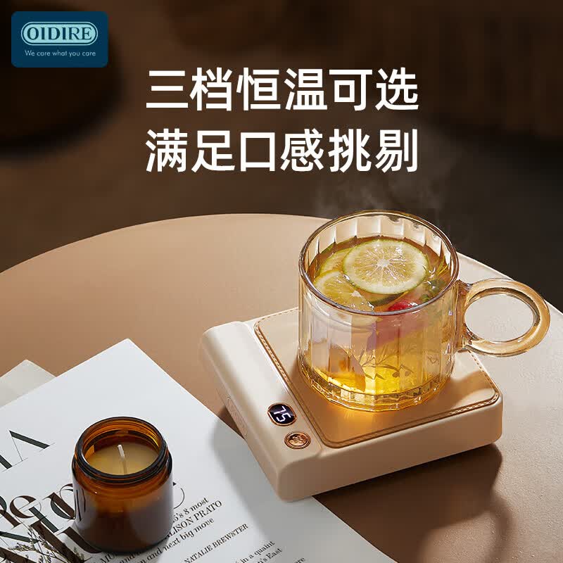 OIDIREODI-NNB06养生壶图片