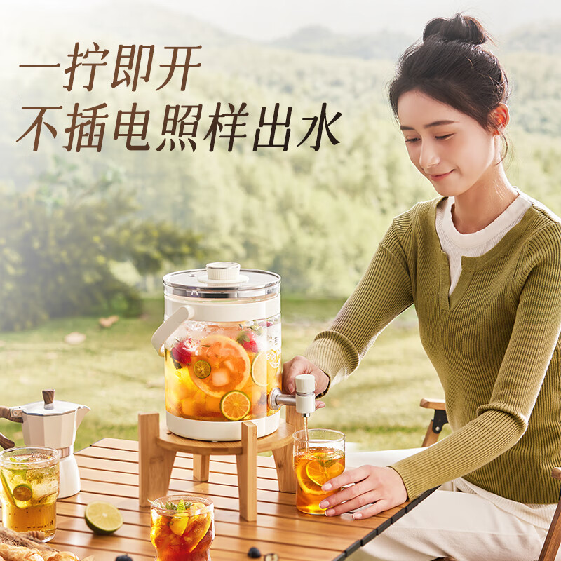 小熊ZDH-F30F1养生壶图片
