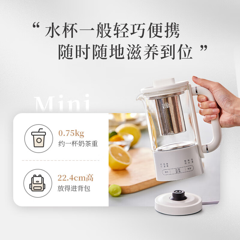 小熊YSH-E06H1养生壶图片