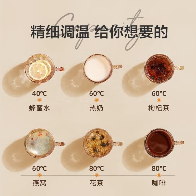 生活元素I156养生壶图片