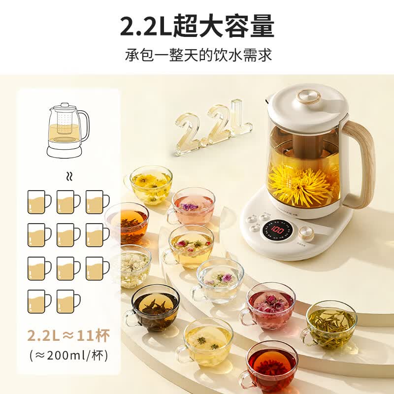 小质YSH09A养生壶图片