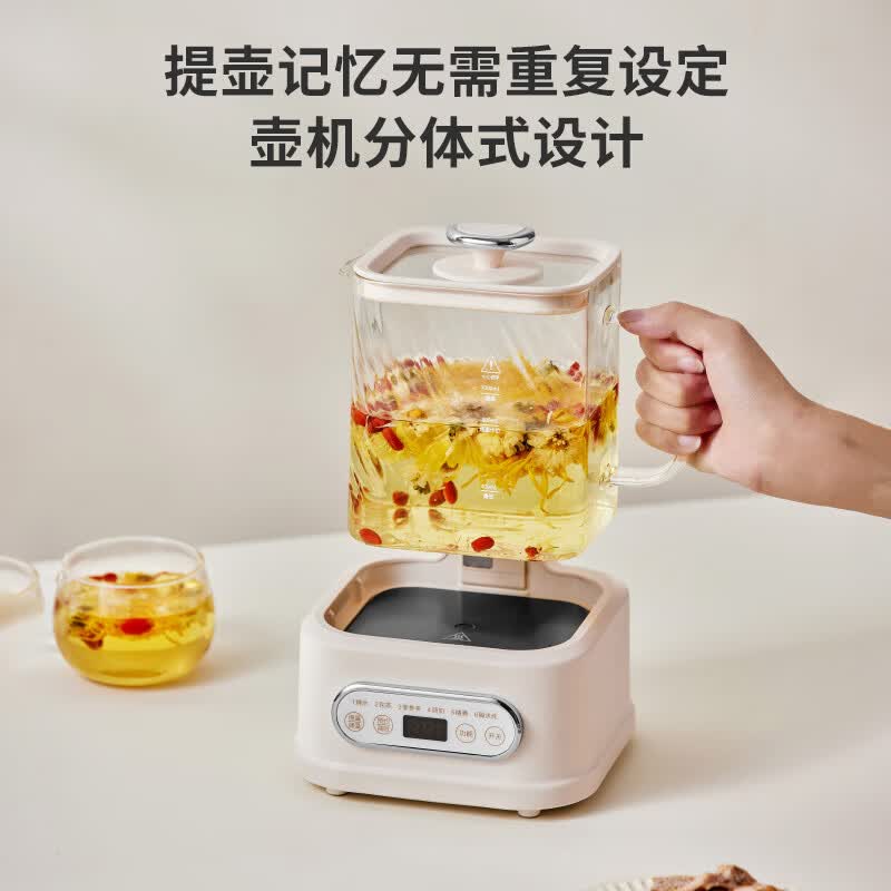 BASSENS巴森BS-D1plus养生壶图片
