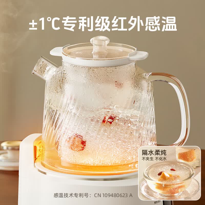 小熊YSH-E12S2养生壶图片