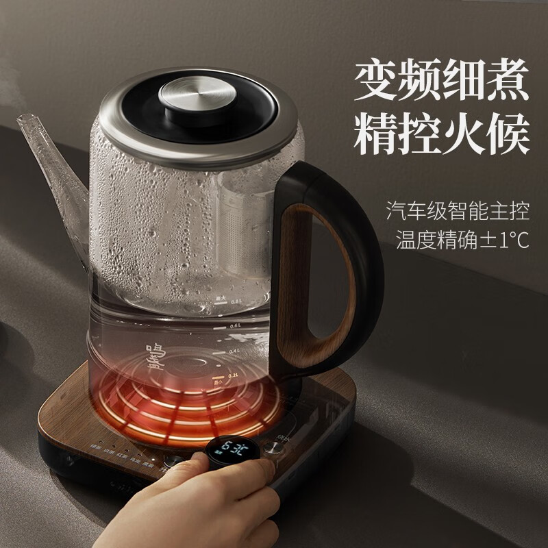 鸣盏MZ101养生壶图片