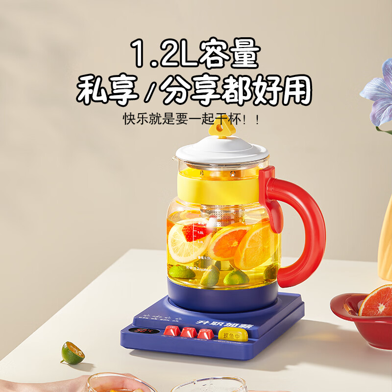 荣事达YSH1227(Ti)养生壶图片