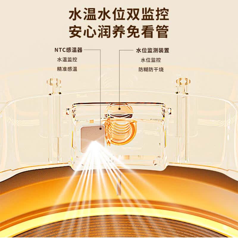 奥克斯ASH-08AY68养生壶图片