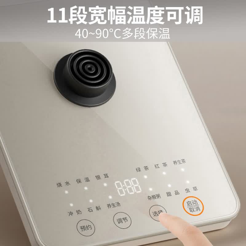 九阳WY501养生壶图片