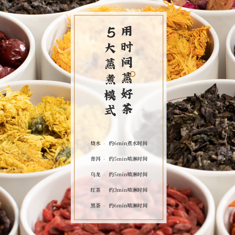 生活元素I97养生壶图片