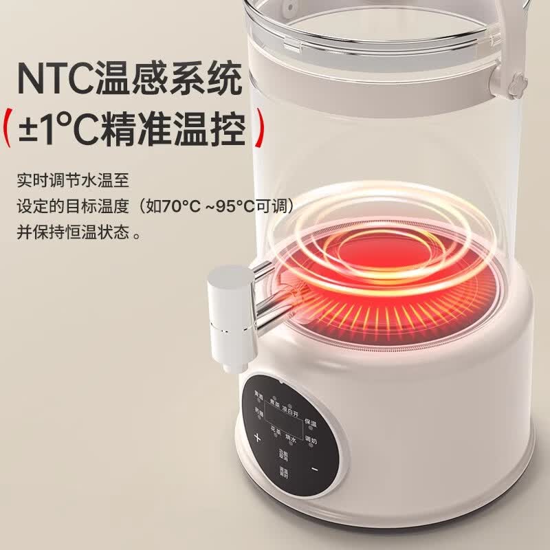 APIXINTLYS-005养生壶图片